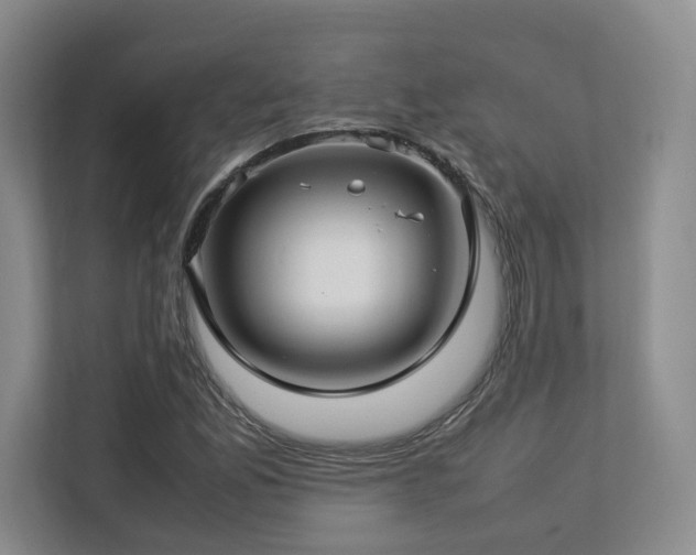 X0000112791165200908211107