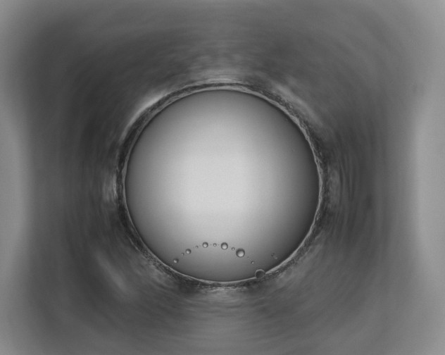 X0000112791166200908211107