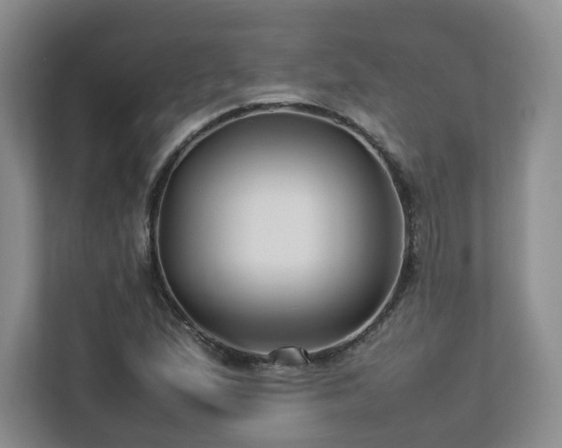 X0000112791167200908211107