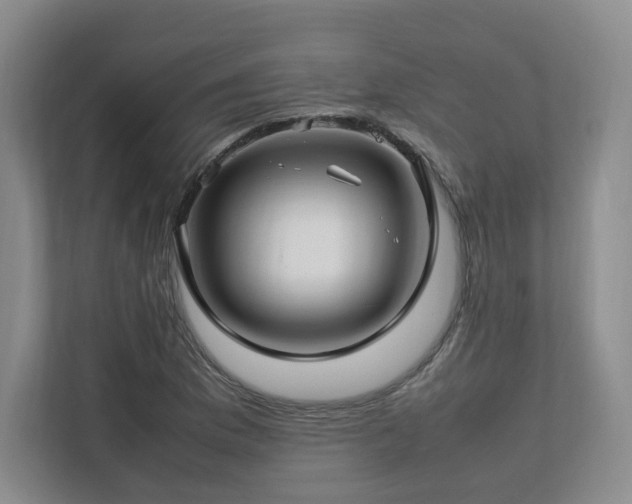 X0000112791169200908211107