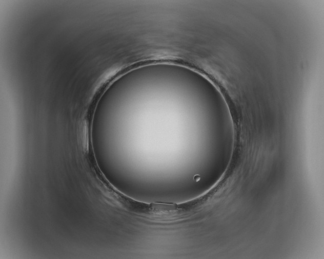 X0000112791171200908211107