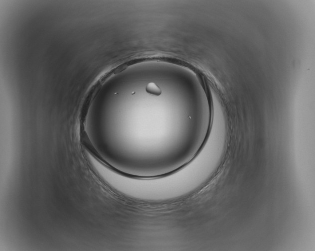 X0000112791173200908211107