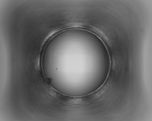 X0000112791174200908211107