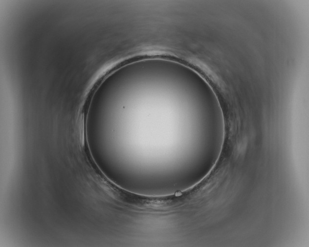 X0000112791175200908211107