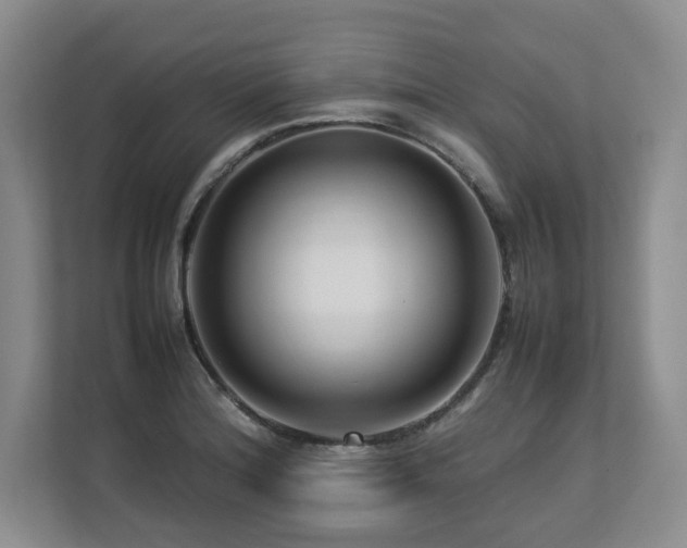 X0000112791180200908211107