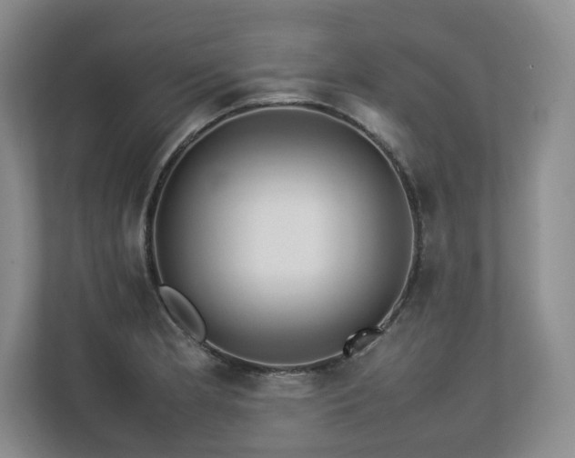 X0000112791181200908211107