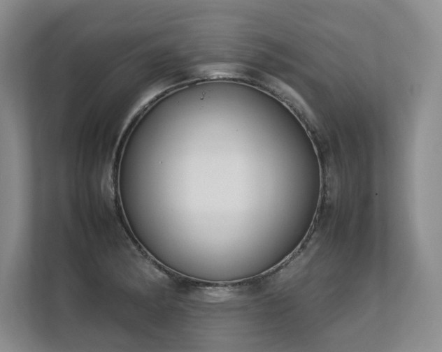 X0000112791182200908211107