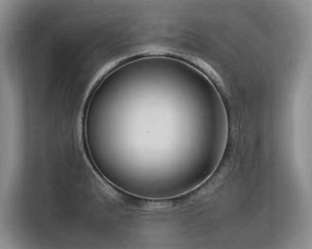 X0000112791183200908211107