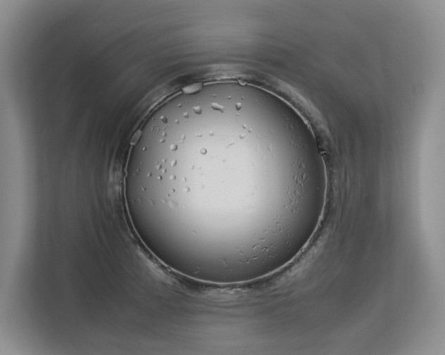 X0000112791185200908211107
