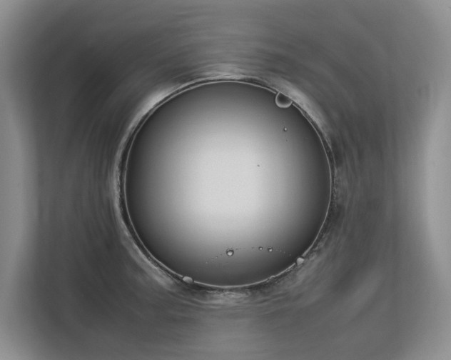 X0000112791187200908211107