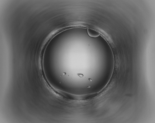 X0000112791188200908211107