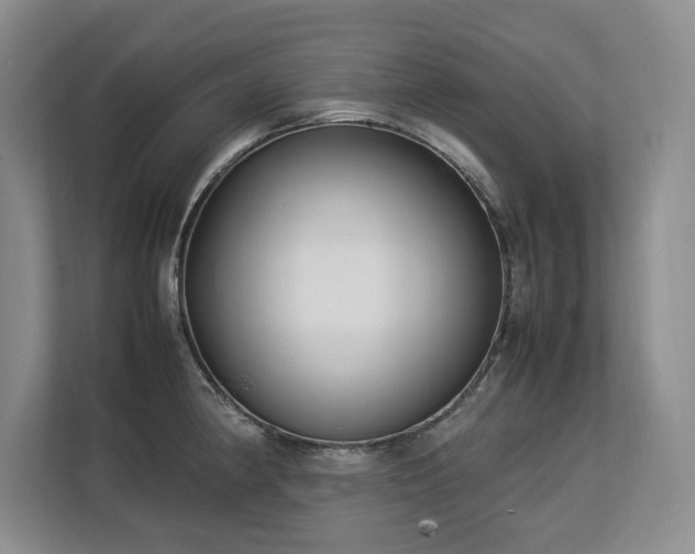 X0000112791190200908211107