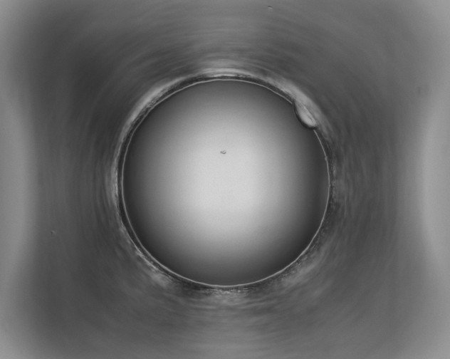 X0000112791191200908211107