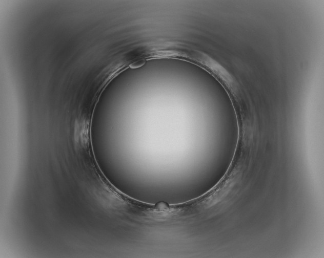 X0000112791193200908211107