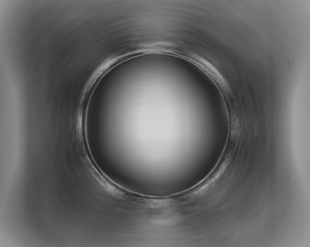 X0000112791196200908211107