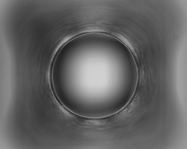 X0000112791197200908211107