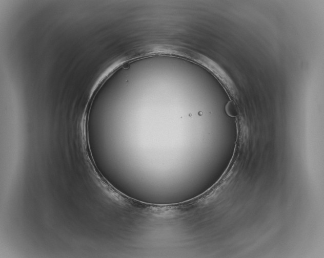 X0000112791198200908211107