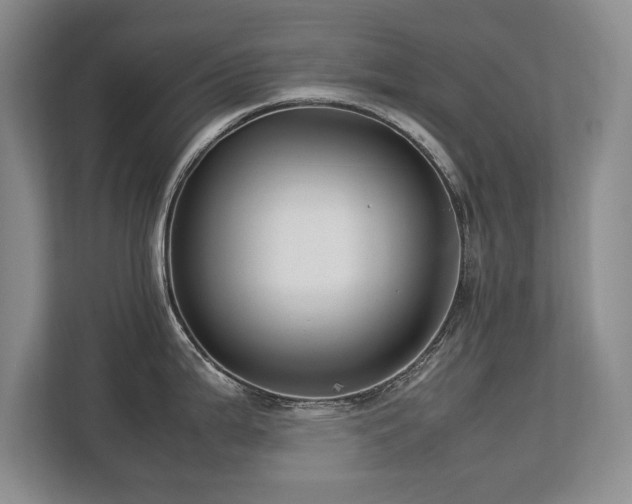 X0000112791199200908211107