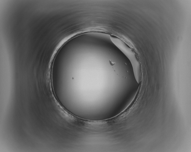 X0000112791200200908211107
