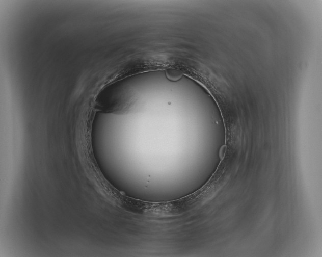 X0000112791201200908211106