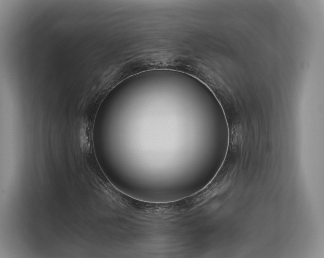 X0000112791202200908211106