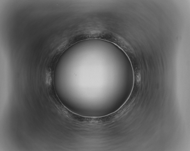 X0000112791204200908211106