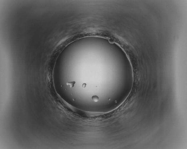 X0000112791206200908211106