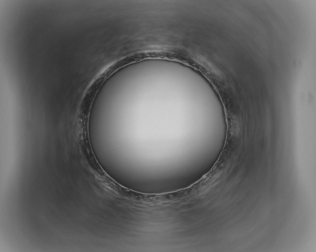 X0000112791208200908211106