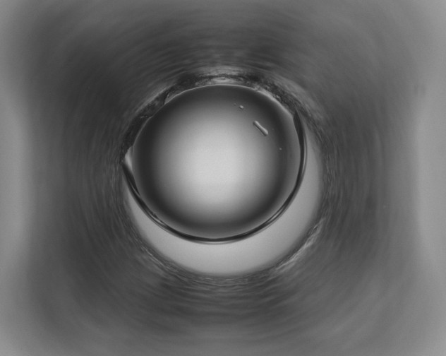 X0000112791209200908211106