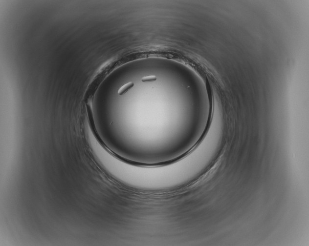 X0000112791210200908211106