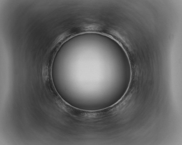 X0000112791211200908211106