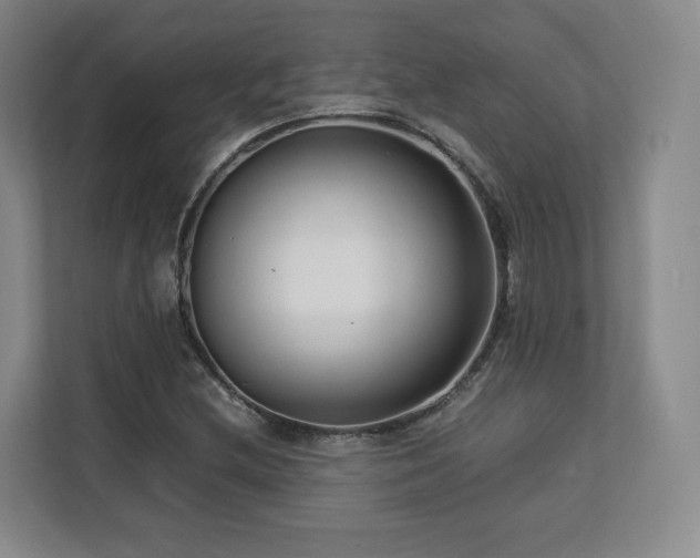 X0000112791212200908211107