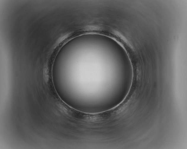 X0000112791213200908211107