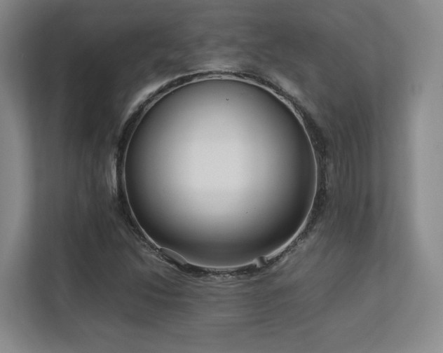 X0000112791214200908211107