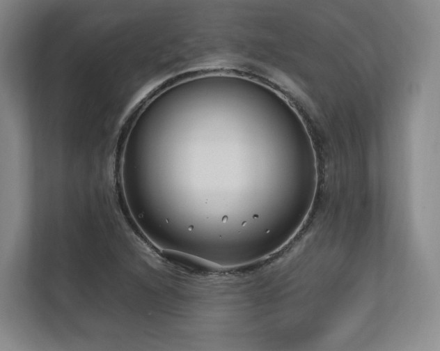 X0000112791216200908211107
