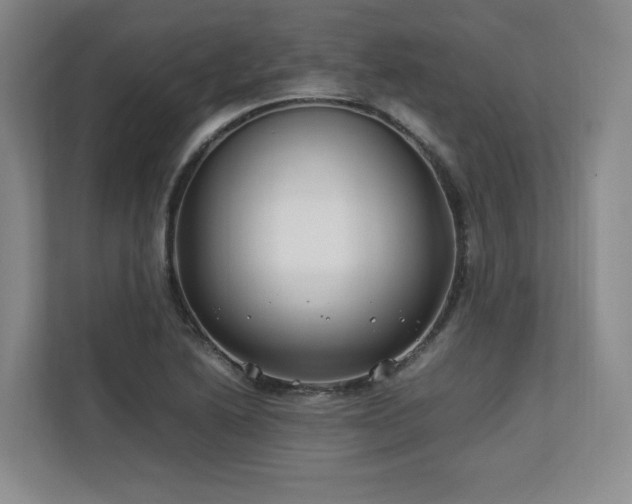 X0000112791222200908211107
