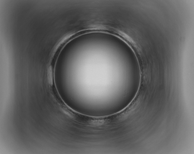 X0000112791223200908211107