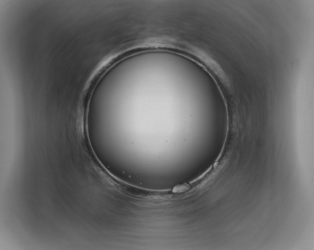 X0000112791224200908211107