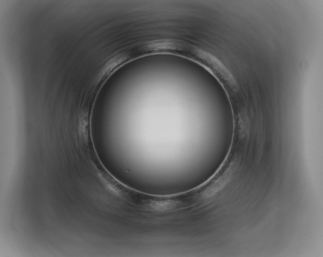 X0000112791225200908211107