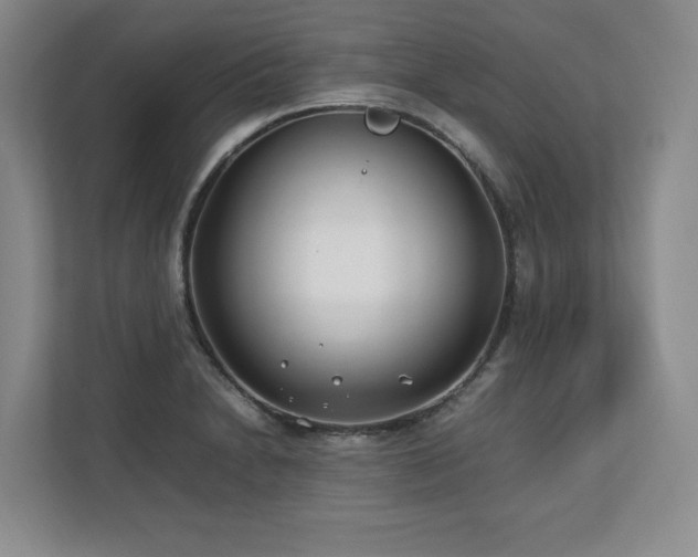 X0000112791230200908211107