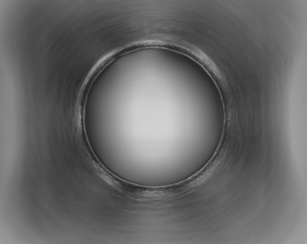 X0000112791232200908211107