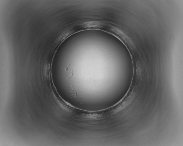X0000112791233200908211107