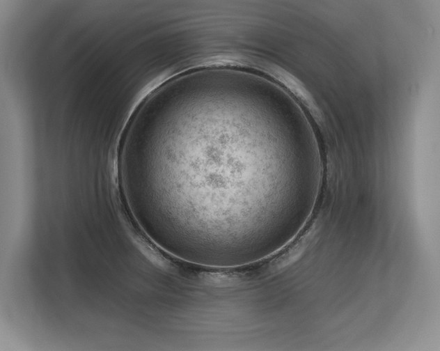 X0000112791234200908211107