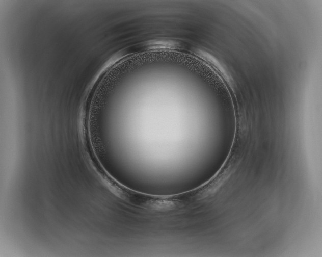X0000112791235200908211107