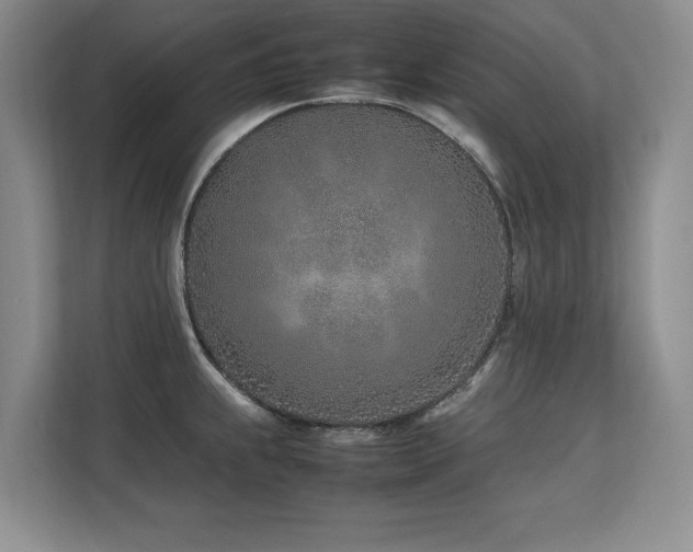 X0000112791239200908211107