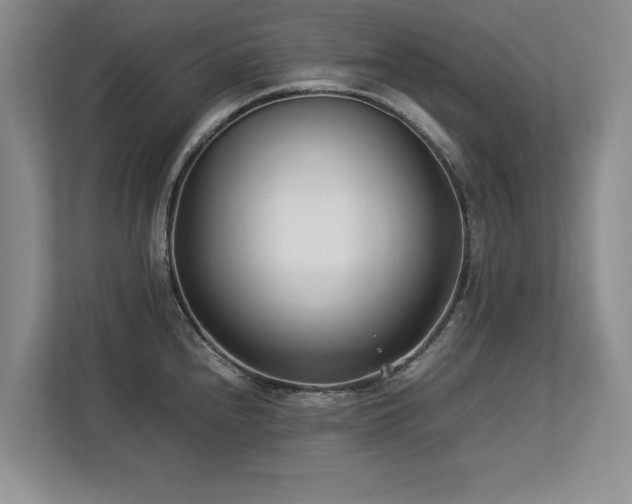 X0000112791240200908211107