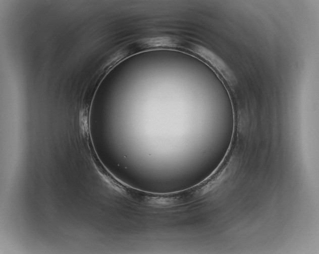 X0000112791241200908211107