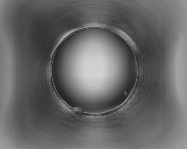 X0000112791244200908211107