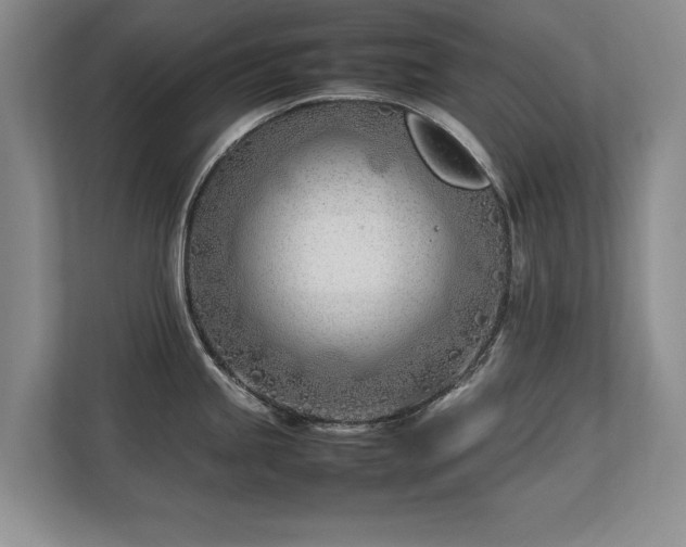 X0000112791245200908211107