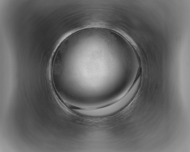 X0000112791246200908211107